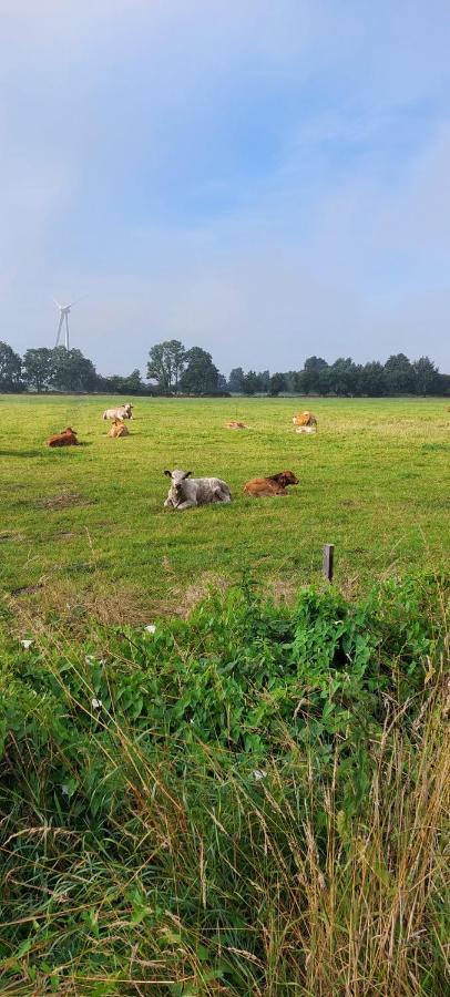 Ferienwohnung Matzibarg Ahrenviol Bagian luar foto